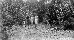 Hawksbill Spur Trail Myron Avery PATC