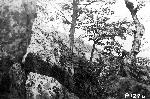 Mary's Rock Trail - Section 1a- Before Constructio