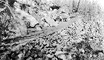 Mary's Rock Trail - Section 3b-After Construction