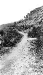 Trail Across Franklin Cliffs