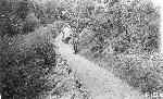 Trail Leading Up From Lewis Springs