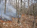 Creeping ground fire