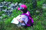 Junior Ranger Program