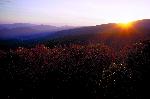 Another Day Begins in Shenandoah