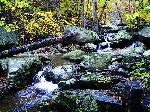 Fall in Whiteoak Canyon