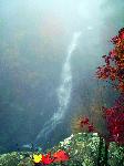 Whiteoak Falls