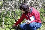 Wildflower Weekend