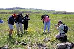 Wildflower Weekend