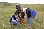Wildflower Weekend