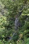 Lewis Falls