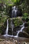 Doyles River Falls