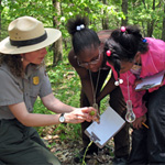 Two young visitors learning about the forest with a park ranger.