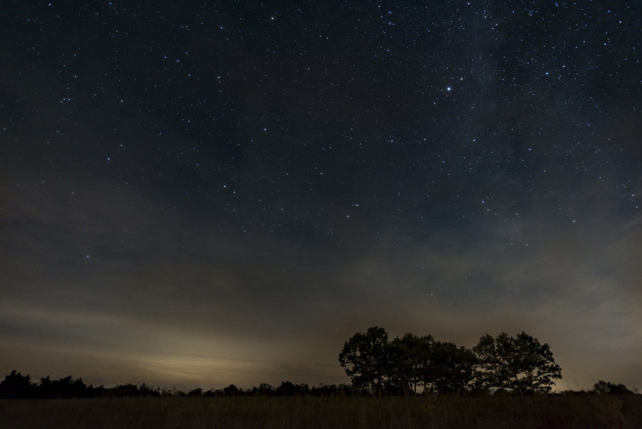 An open field at night with sparse trees and stars in the distance.
