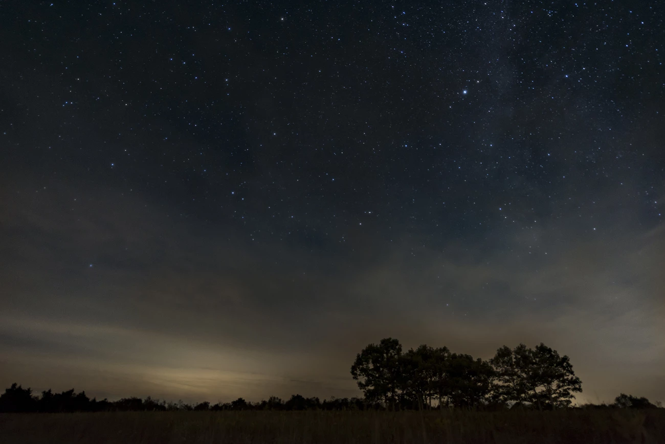 Night Sky at Big Meadows An open field at night with sparse trees and stars in the distance.