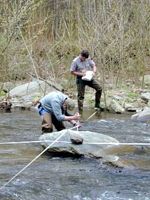Resource staff monitoring aquatic habitat.