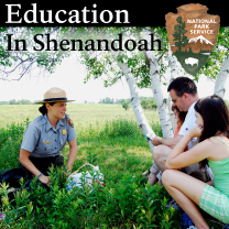 Education In Shenandoah