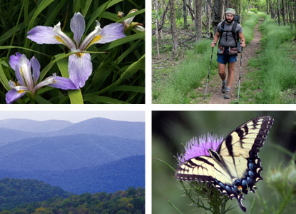 A four-photo montage of Shenandoah images.