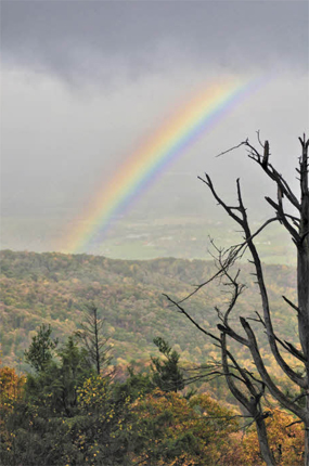 A classic rainbow adds a bright splash of color to the already vibrant fall vista.