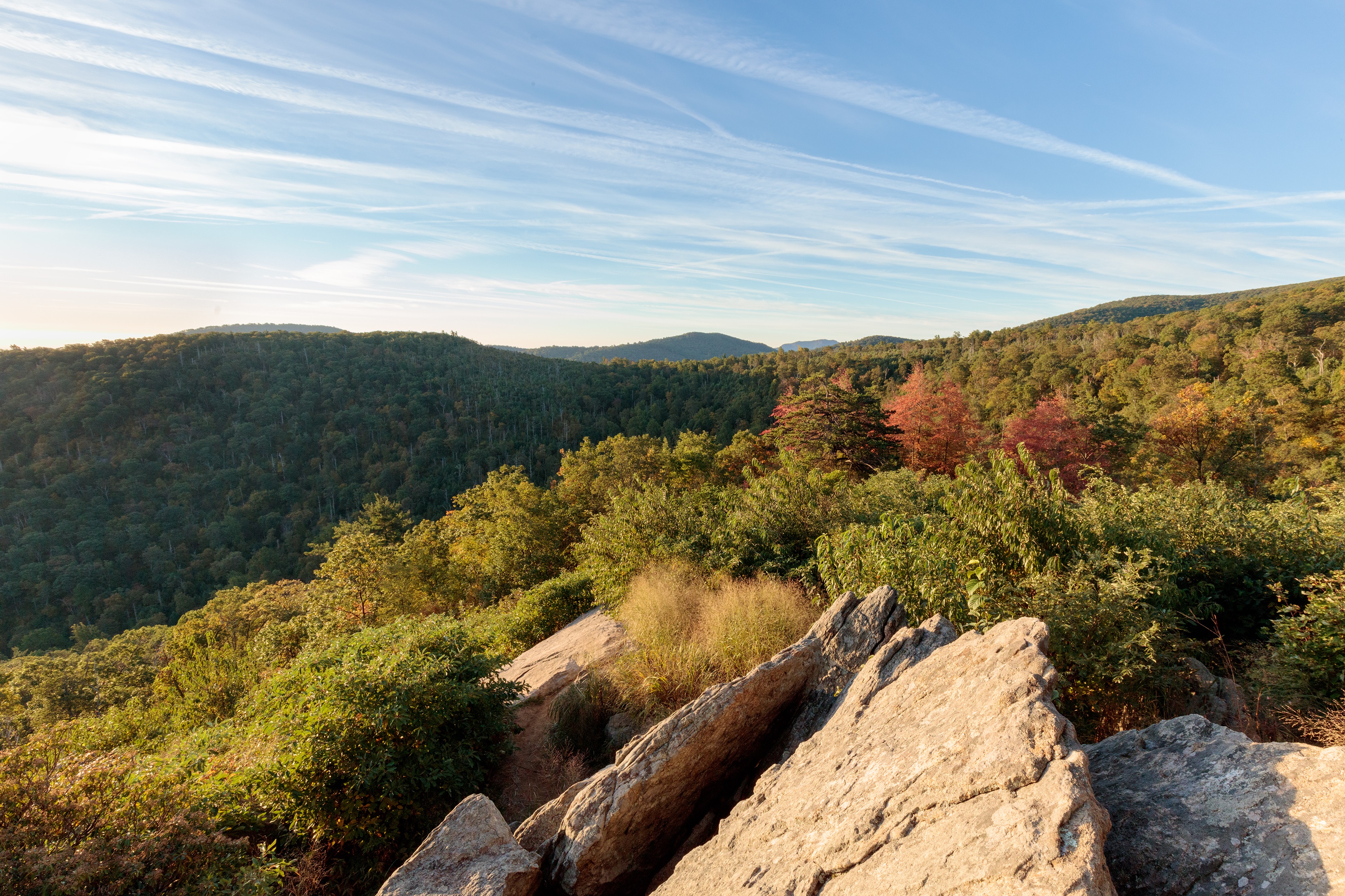 Shenandoah's Fall Color Shenandoah National Park (U.S. National Park