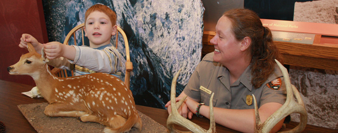 A young visitor gets a "hands on" experience with a stuffed fawn.