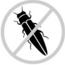 Unwanted Pest -  Emerald ash borer (EAB) - Don't bring firewood in.