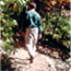 man hiking trail in fall