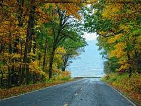 Looking through a fall tree tunnel on Skyline Drive.