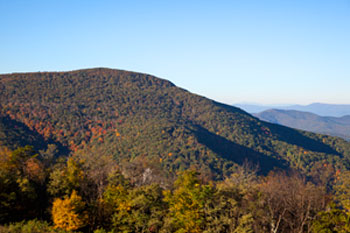 Long view of moutain peak of the leaves changing color.