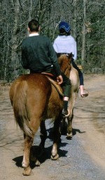 A pair of riders setting off down the trail.