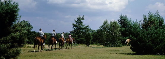 Shenandoah National Park visitors enjoy a scenic splendor as they experience a ride on horseback through the park.