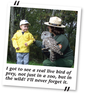 A young visitor gets a close look at an owl during a Live Birds of Prey Ranger Program.