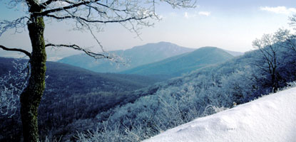 A scenic winter view with Old Rag Mountain in the background and trees and foothills in the foreground.