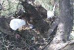 20110317_12-24-16A