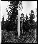 SITK 3819