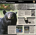 Image of the bear safety brochure