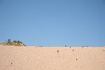 25 Dune Climb
