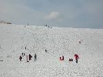 29 Sledding at the Dune Climb