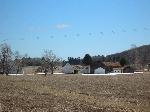 Dechow Farm from M-22