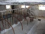 Dechow Farm Stanchions
