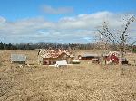 Thoreson Farm