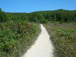 Pyramid Point Trail