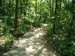Pyramid Point Trail
