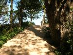 Pyramid Point