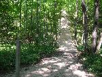 Pyramid Point Trail