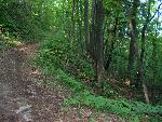 Pyramid Point Trail