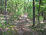 Good Harbor Bay Trail