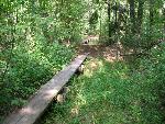 Good Harbor Bay Trail