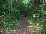 Good Harbor Bay Trail