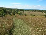 Thoreson Farm in Fall