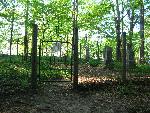Werner Cemetery